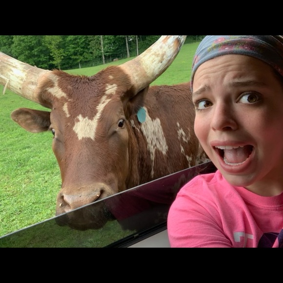 Meet your Posher, Deb - Picture 1 of 1